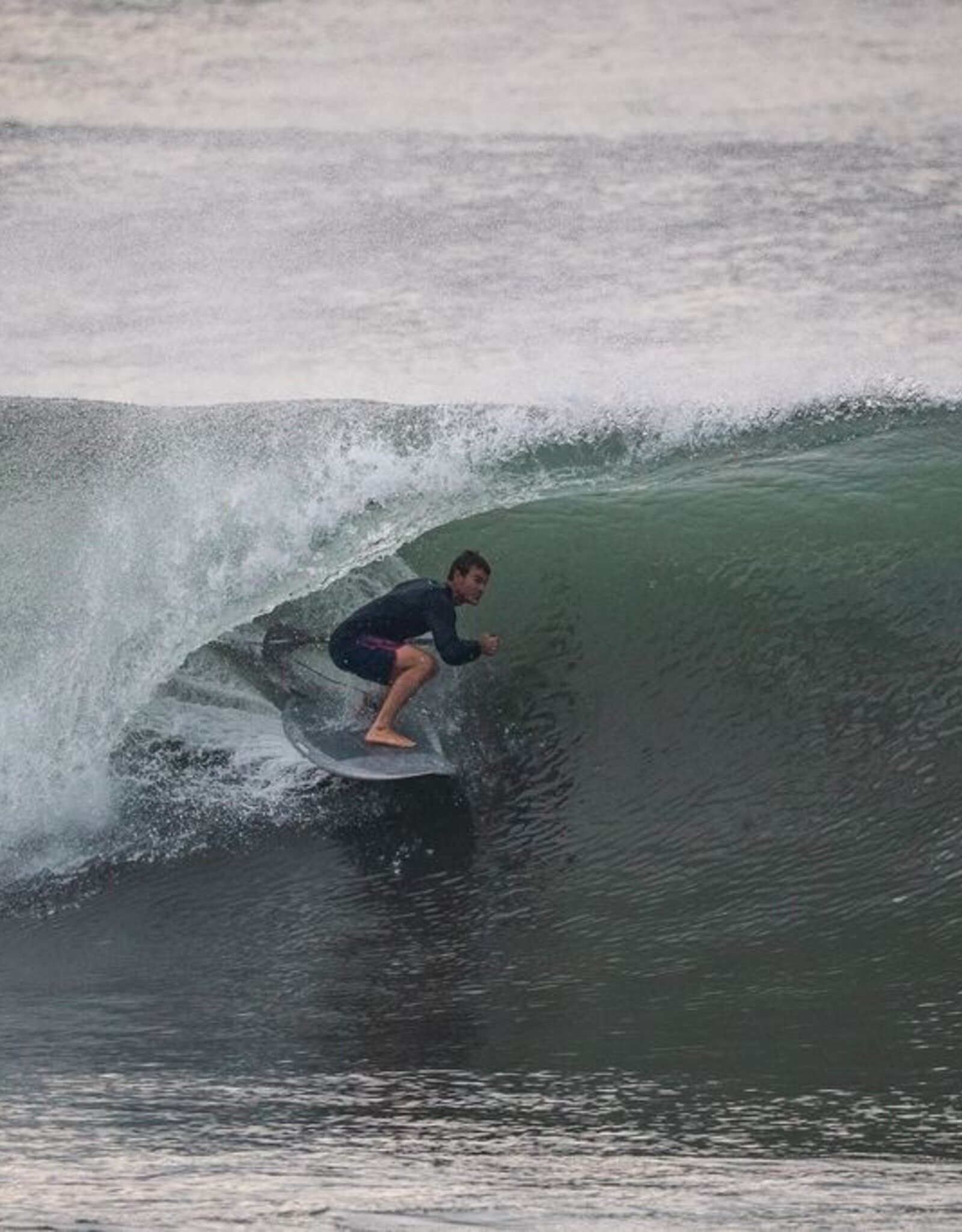 Starboard 2026 STARBOARD TWIN FIN 7'3" X 26" ACUTE CARBON