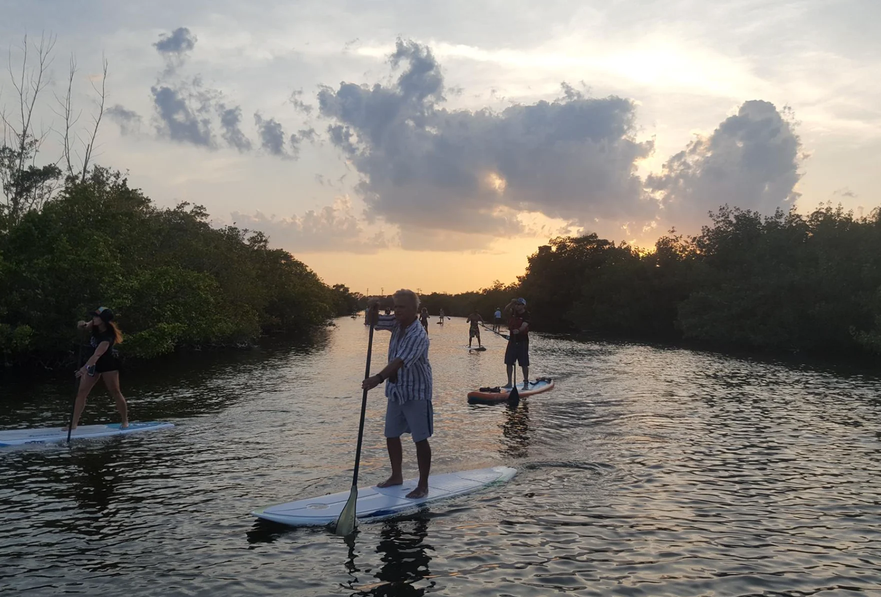 Family-friendly stand-up paddle boarding eco tour through mangroves in Cocoa Beach