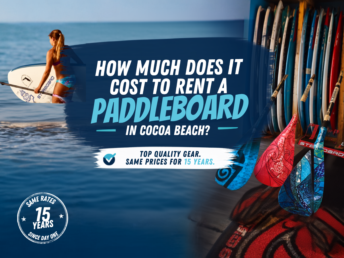 How much does it cost to rent a paddleboard in Cocoa Beach?