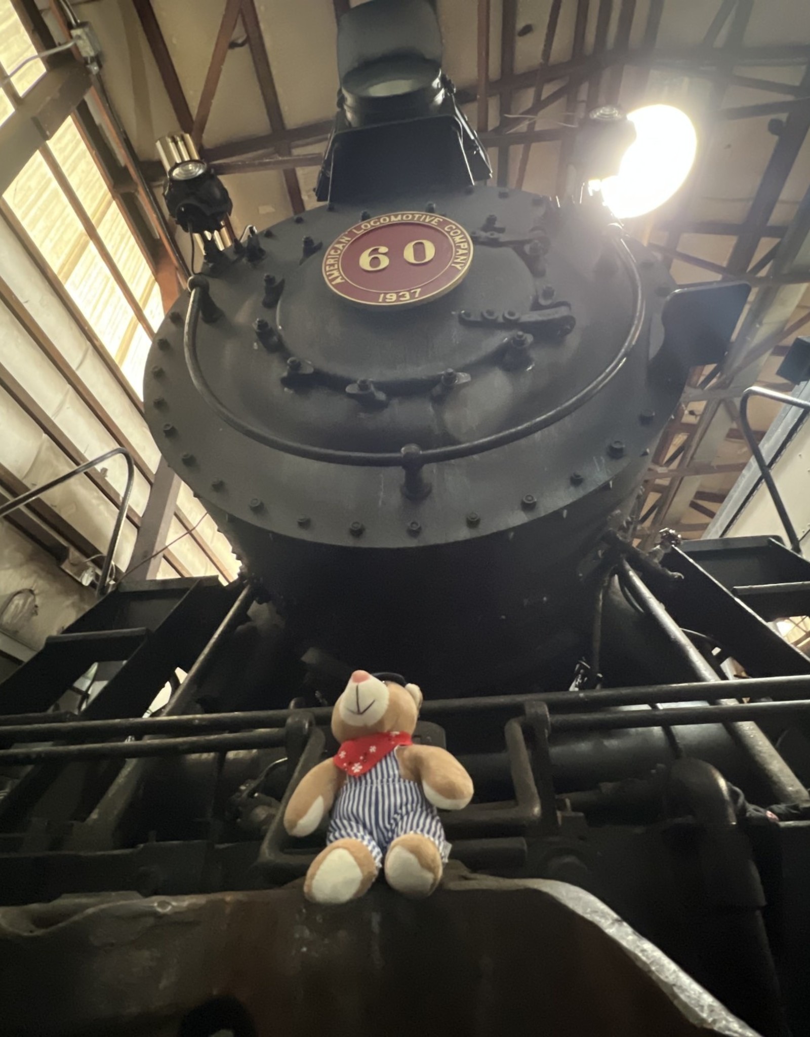 Charles Products Engineer Bear