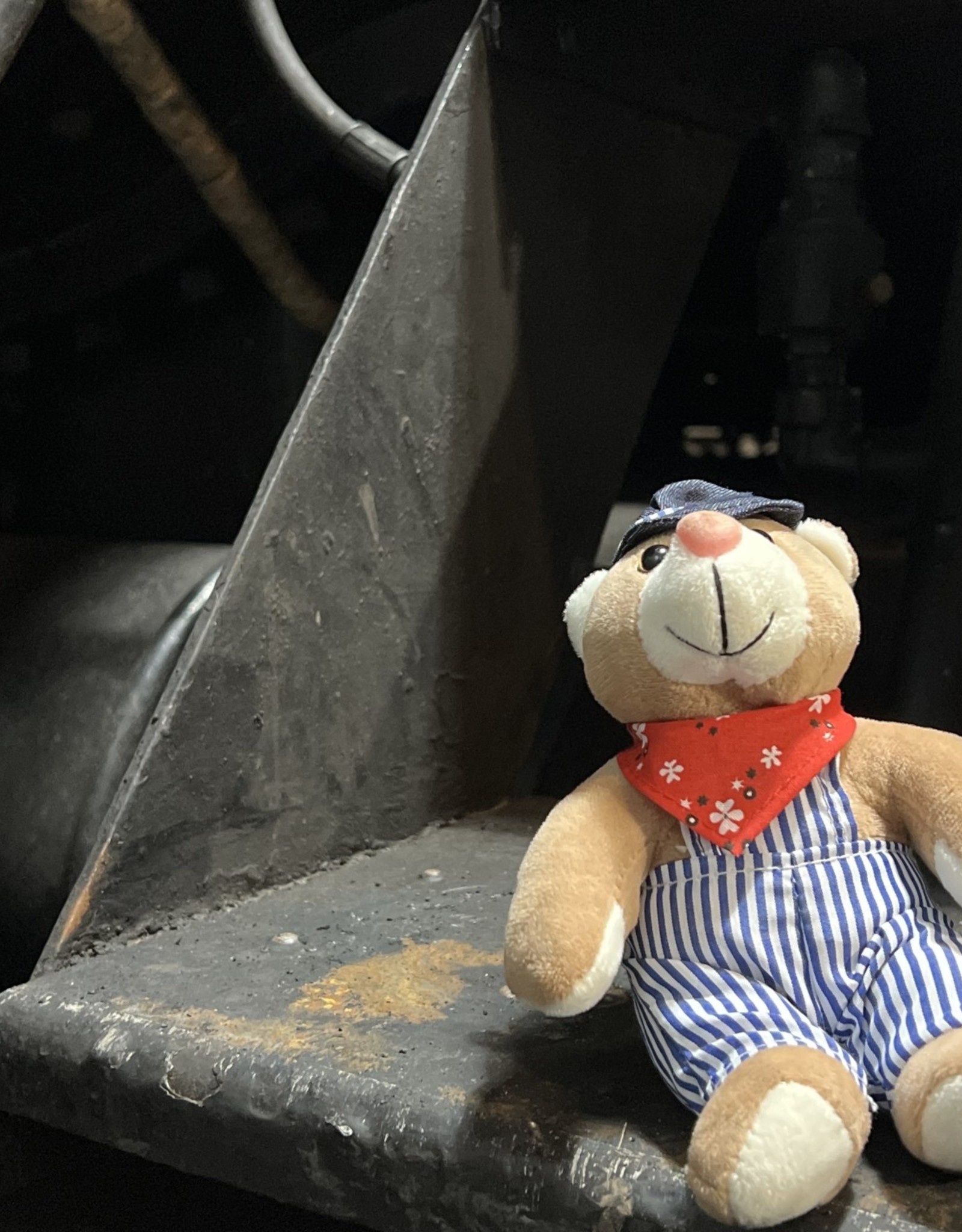 Charles Products Engineer Bear