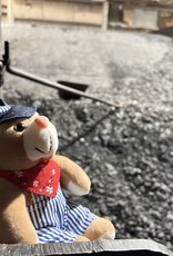 Charles Products Engineer Bear