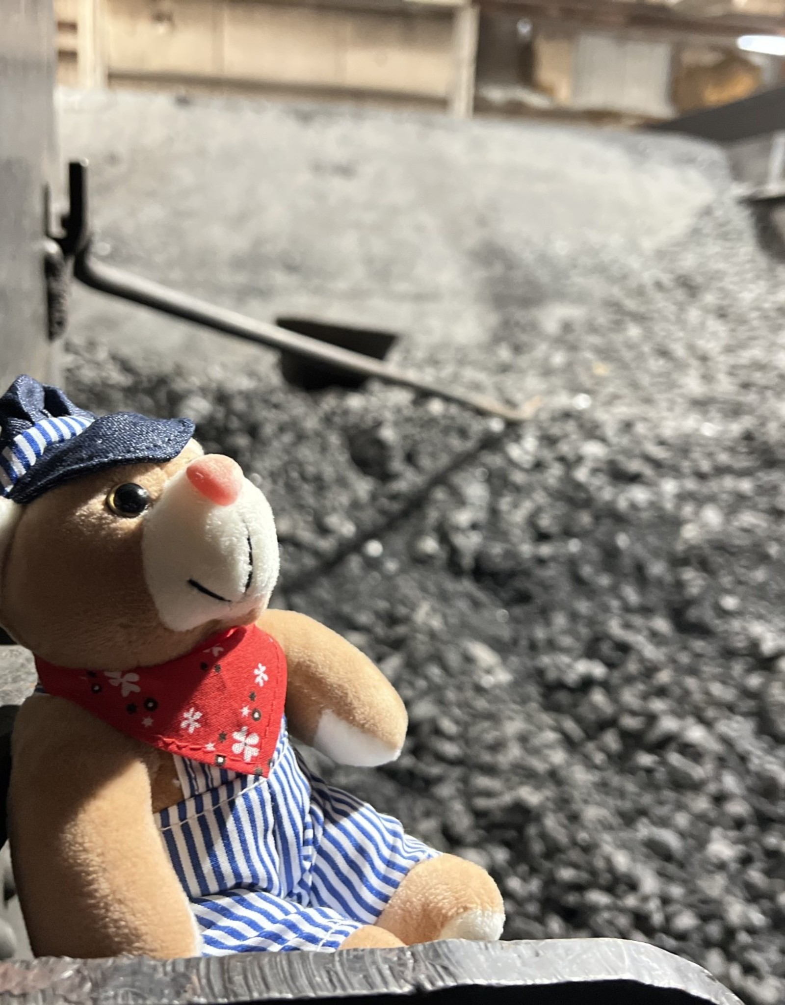 Charles Products Engineer Bear