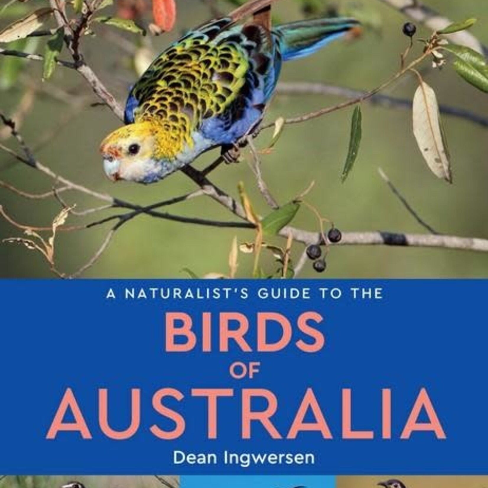 Naturalists Guide To Birds Of Australia