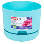 Watermatic Pot Coastal Teal 21cm