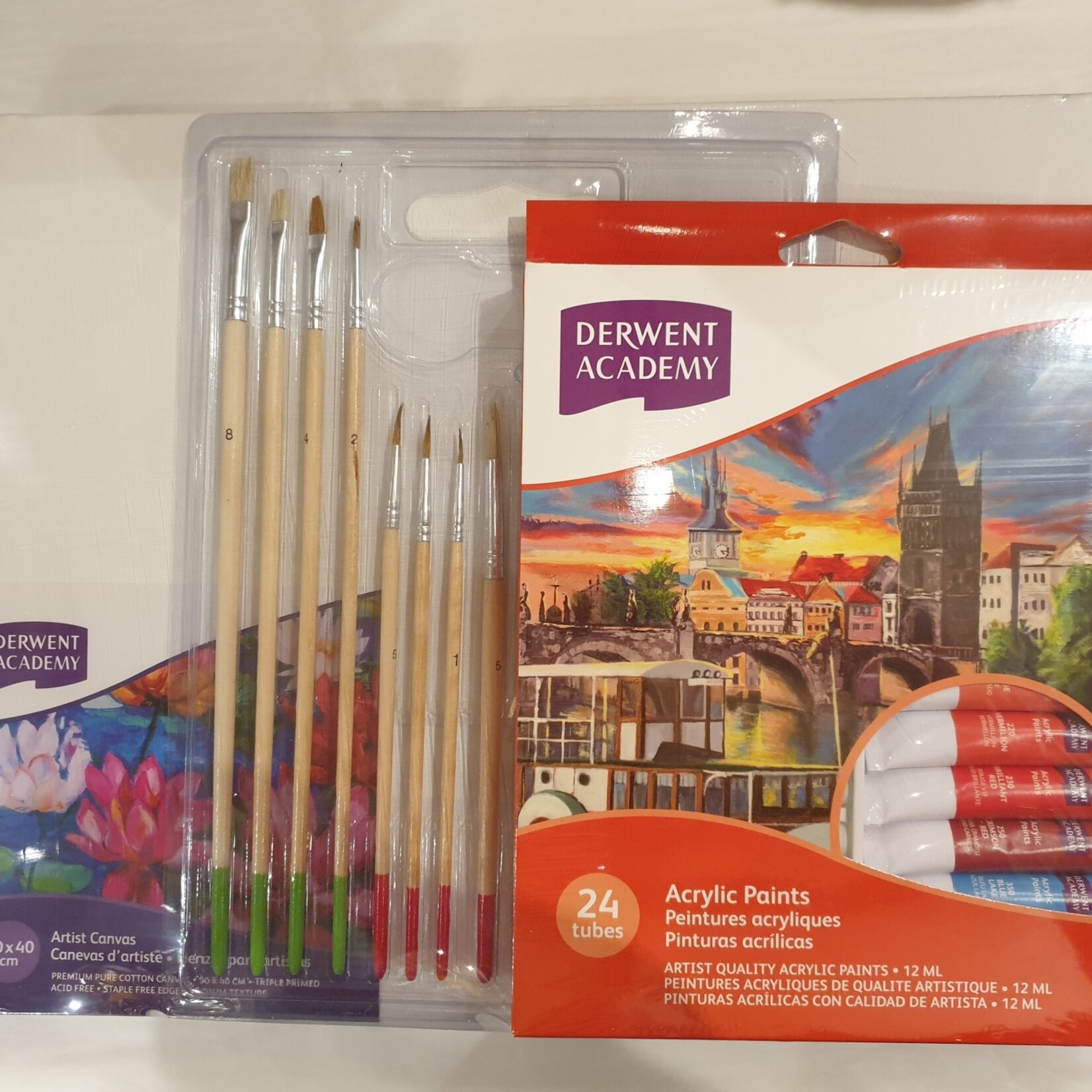 Derwent Academy Acrylic Paint and Canvas set