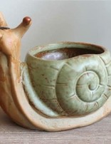 Ceramic Snail Pot