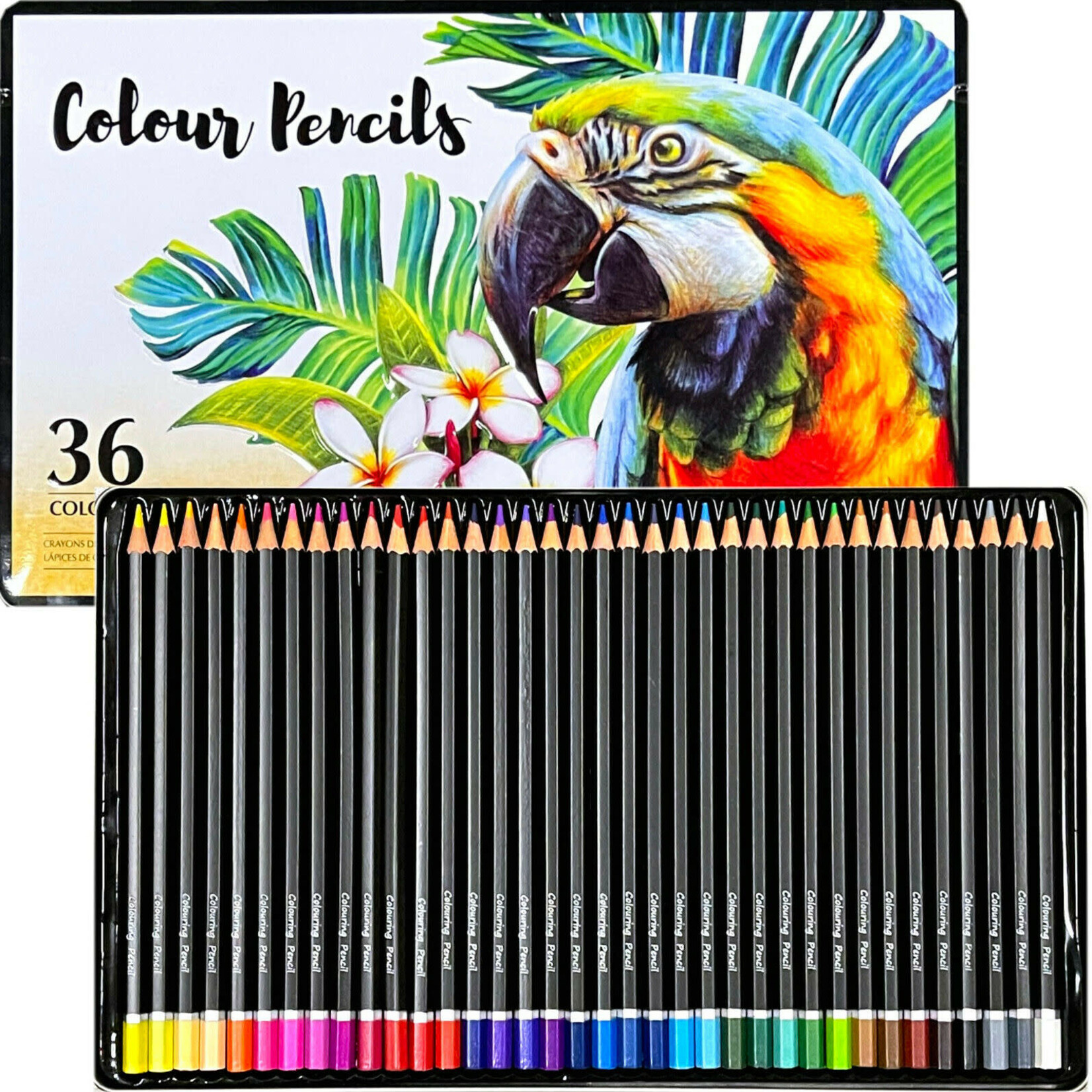 Colour Pencils 36 TIN