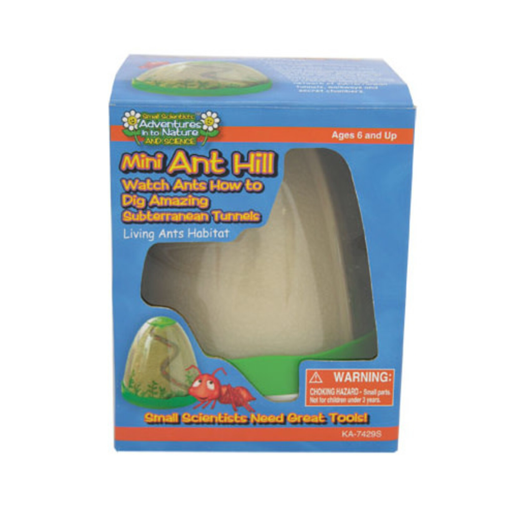 Mini Ant Hill