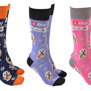 Labradoodle Dog Society Socks (assort