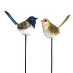 Fairy Wren on stick