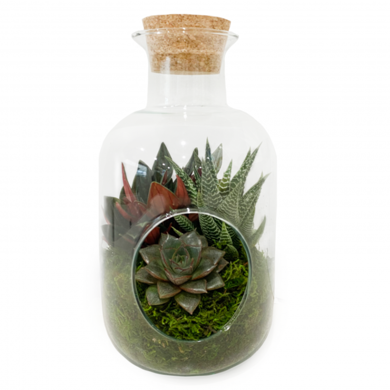 RNR Terrarium Glass Bottle Cork lid 265/140mm (EMPTY)