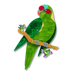 Musk Lorikeet Brooch Erstwilder