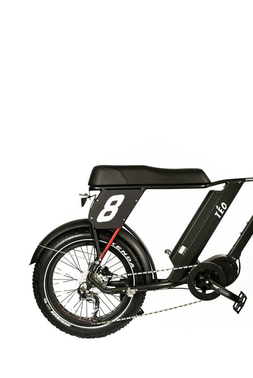 Téo Boomer M1000