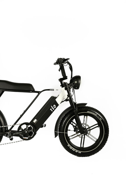 Téo vélo Boomer H500