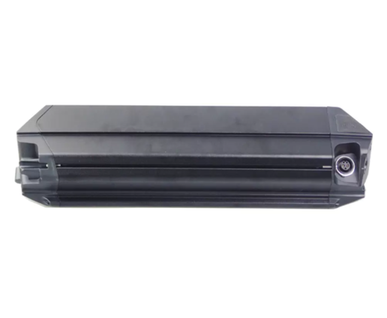 Battery Dorado Reention 48V 25Ah 1200w/h