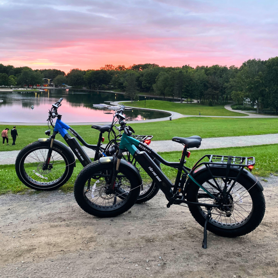 Fat Bikes