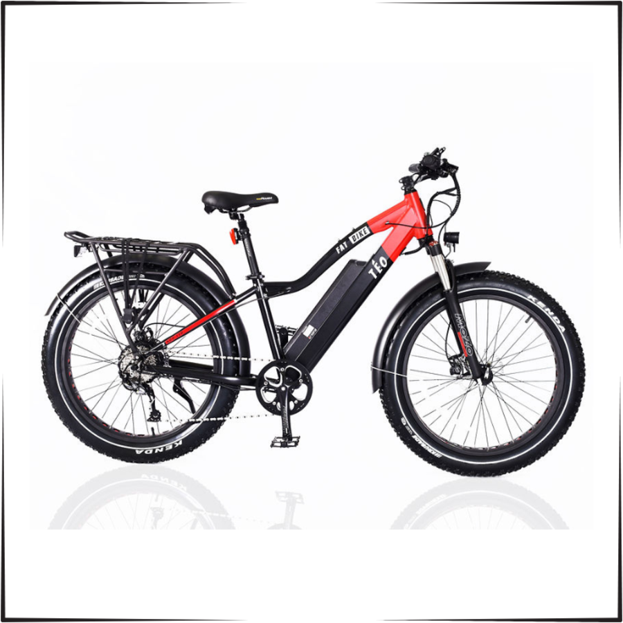 Fat Bike