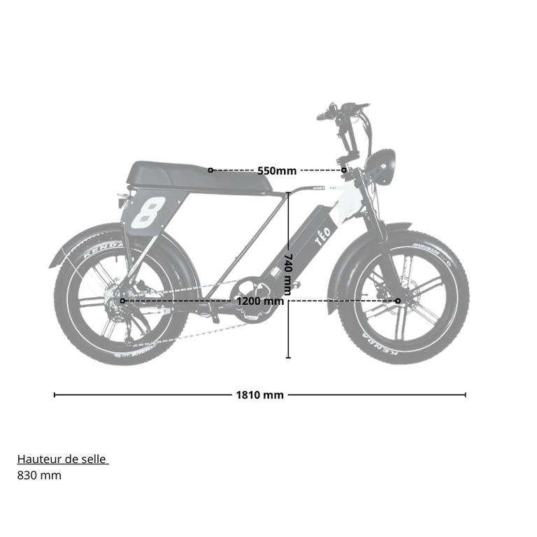 Téo Boomer H500