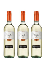 Pinot Grigio Cielo Pinot Grigio 24