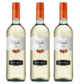 Pinot Grigio Cielo Pinot Grigio 24