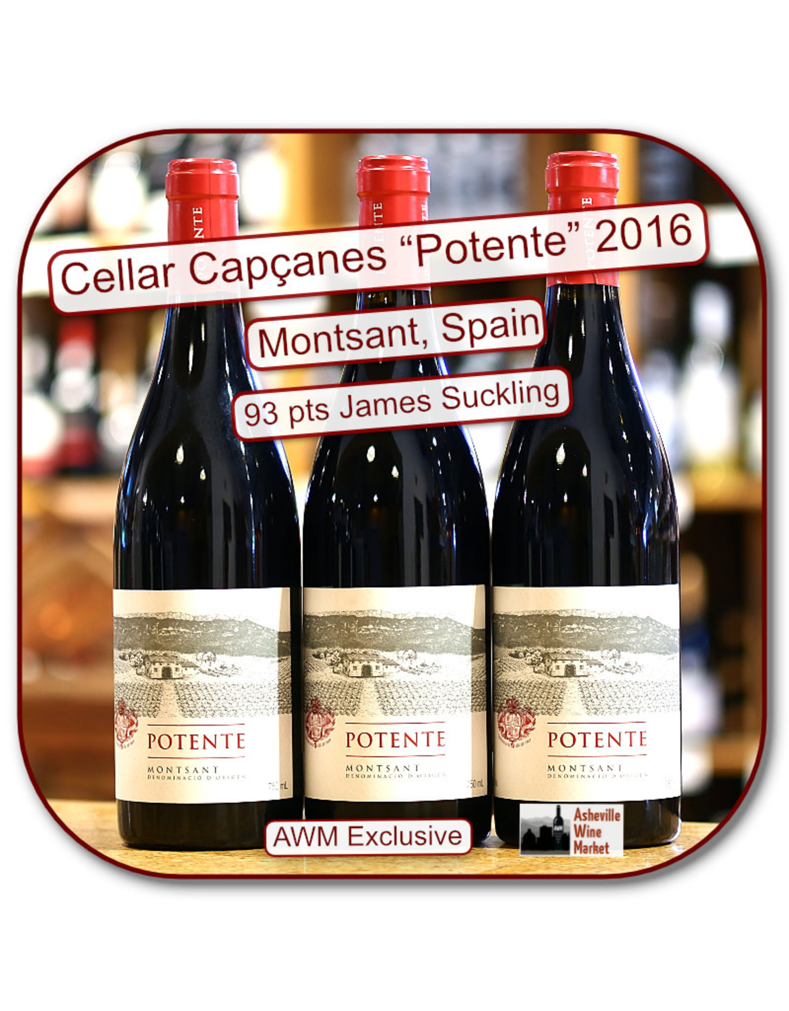 Red Blend - Europe Potente Montsant 22