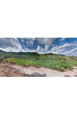 Red Blend - Europe Potente Montsant 22