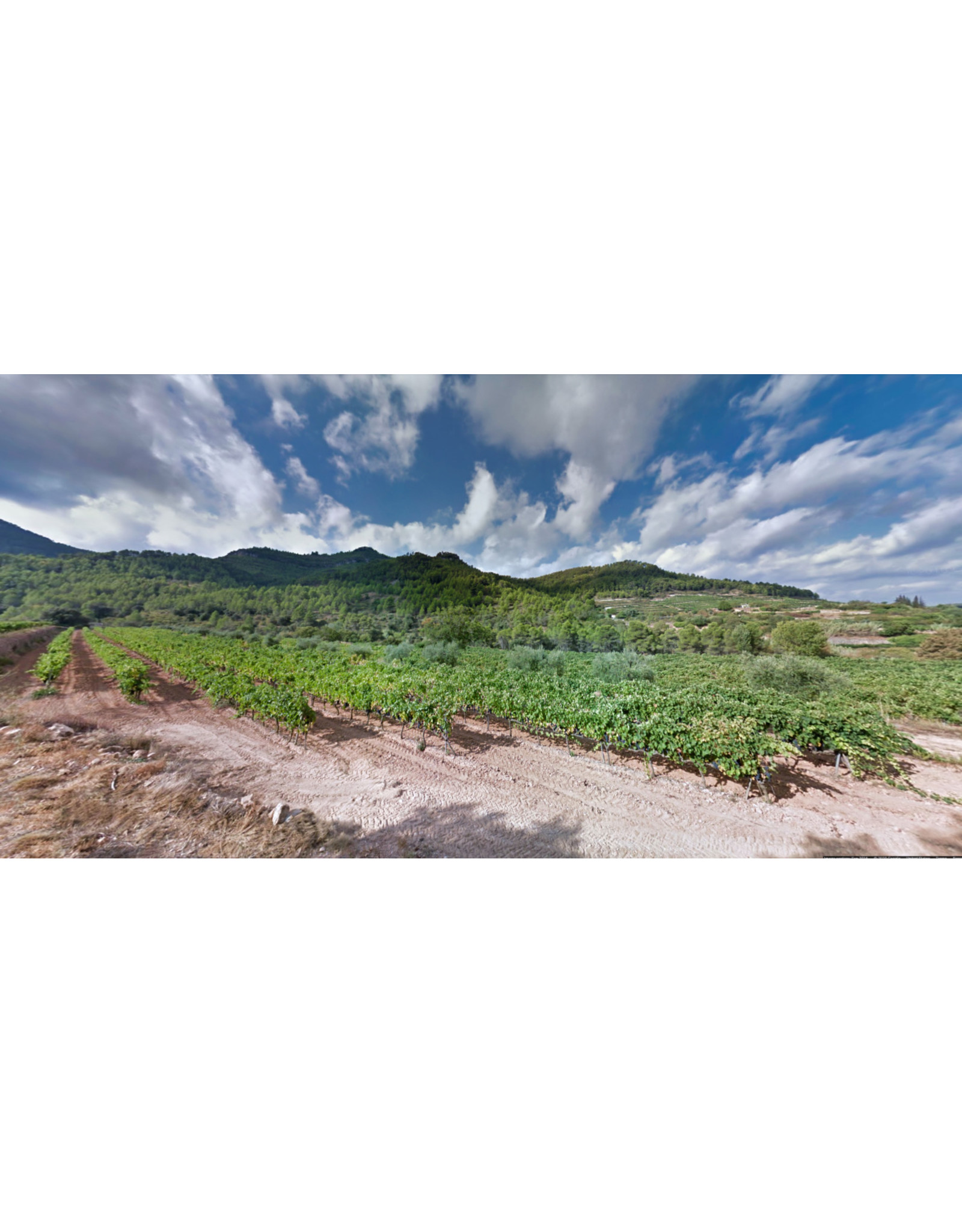 Red Blend - Europe Potente Montsant 22