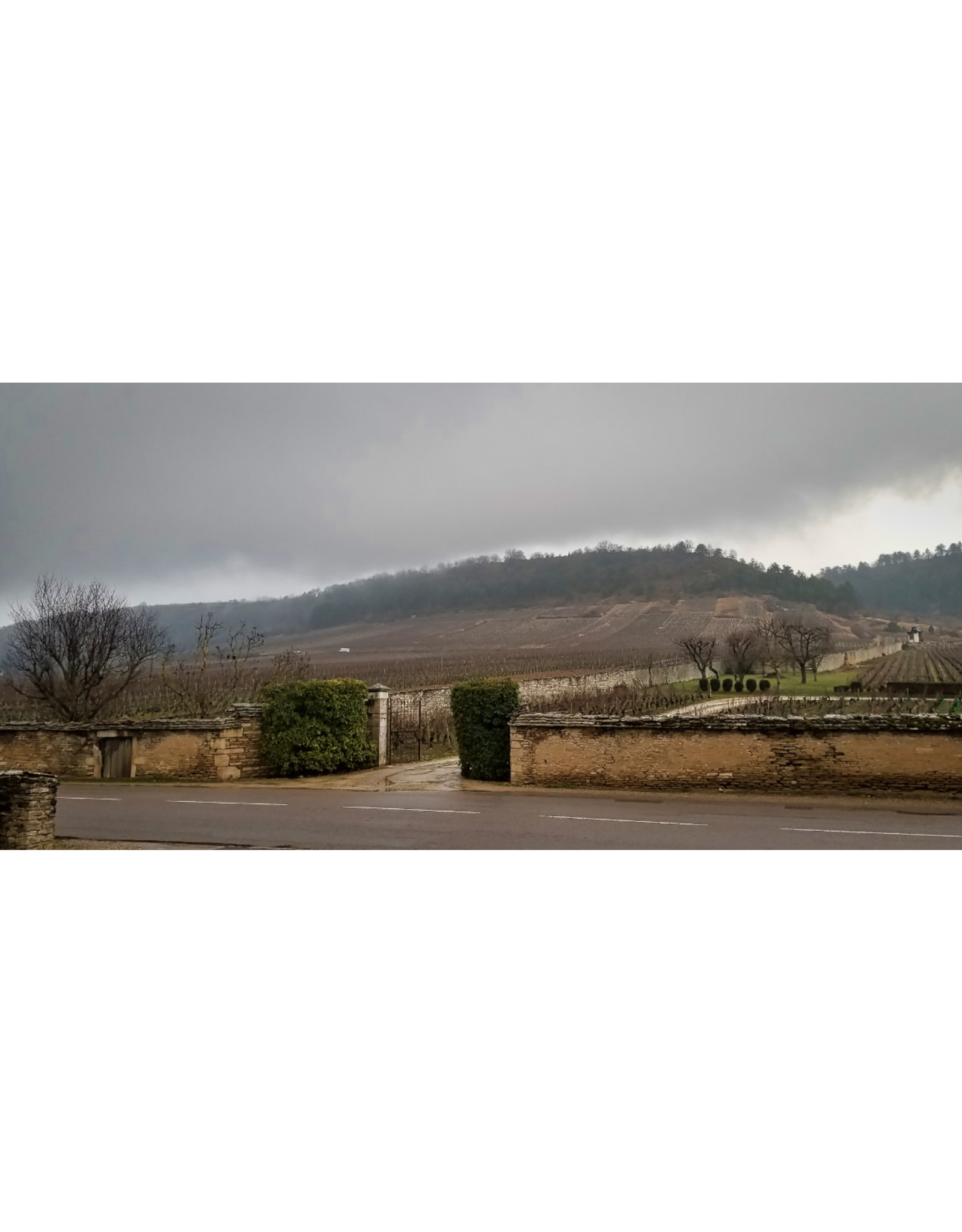 Pinot Noir Henri Latour Hautes Cotes de  Beaune Rouge 19