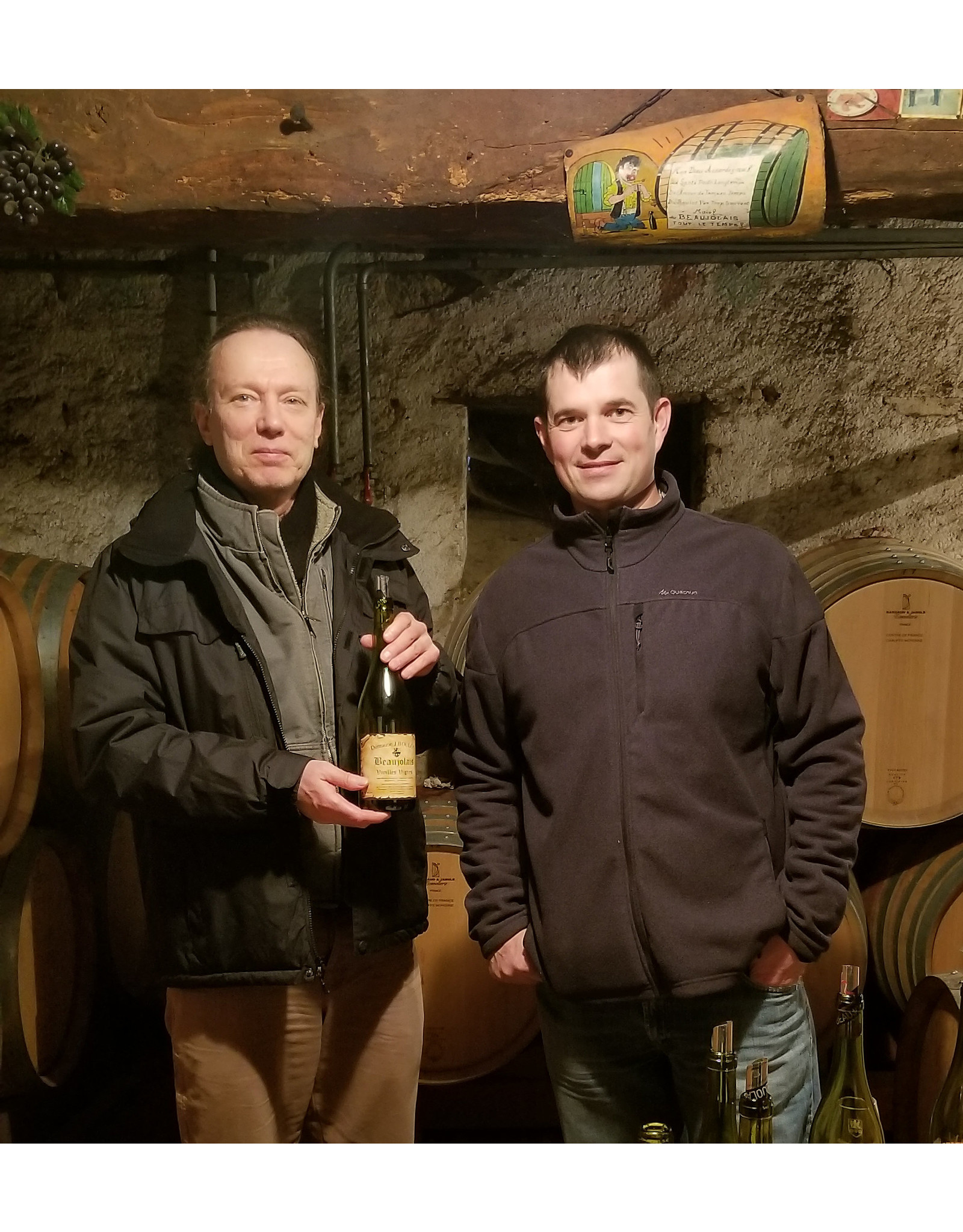 Gamay Boulon Beaujolais Superieur VV 23