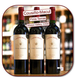Red Blend Cousino Macul Finis-Terrae 19