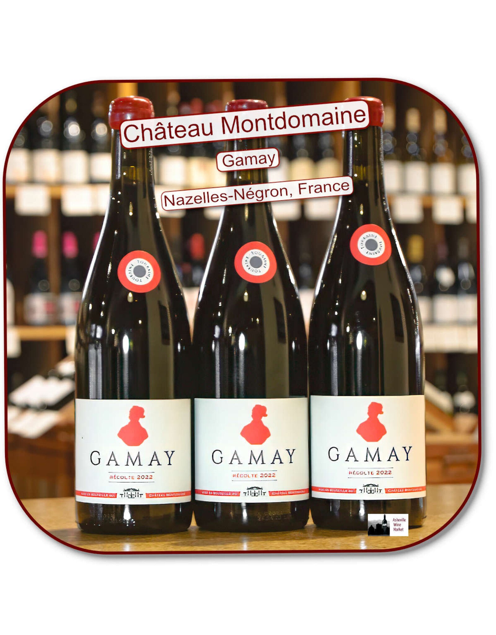 Gamay Chateau de Montdomaine Gamay 22