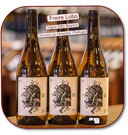 White Blend - Europe Freire Lobo Dao Vigno Branco 24