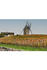 Gamay Boulon Moulin a Vent Cru