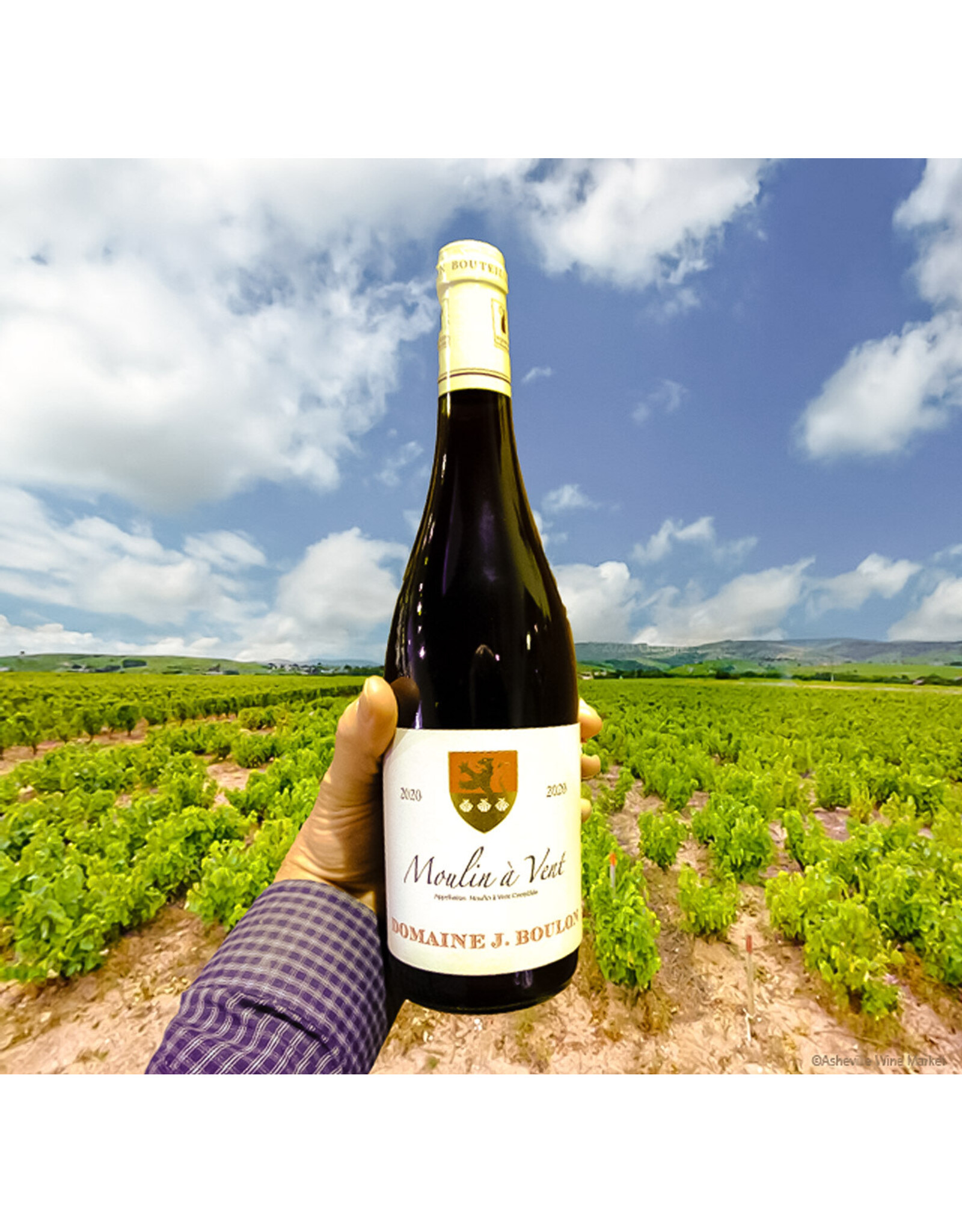 Gamay Boulon Moulin a Vent Cru