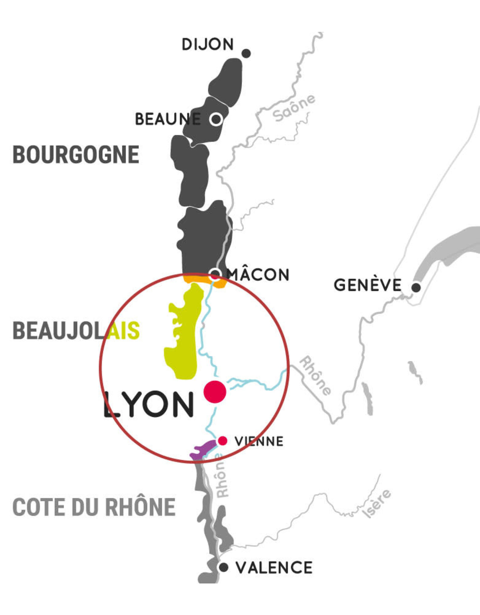 Gamay Uva Non Grata Gamay 23