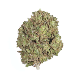 Cannabis CBD Flower: 'Pineapple Kush' 7 grams (1/4 oz) (Hybrid)