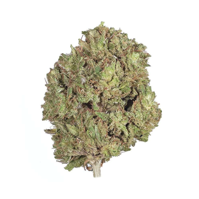 Cannabis CBD Flower: 'Pineapple Kush' 7 grams (1/4 oz) (Hybrid)