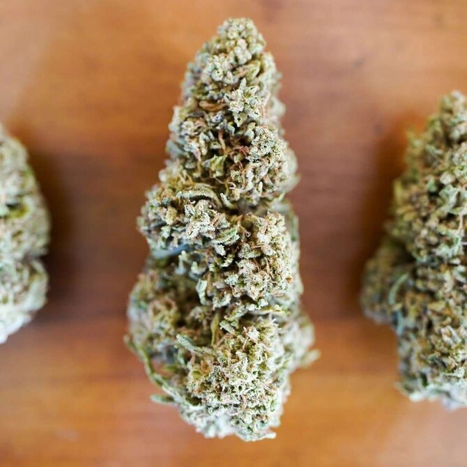 Cannabis Flower: 'Hawaiian Haze' 7 grams (1/4 oz) (Sativa)