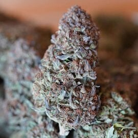 Cannabis CBD Flower: Blue Magnolia 7 grams (1/4 oz) (Hybrid)