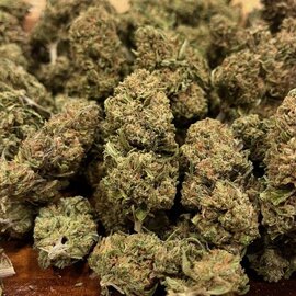 Cannabis CBD Flower: 'Blue Orchid' 7 grams (1/4 oz) (Indica)
