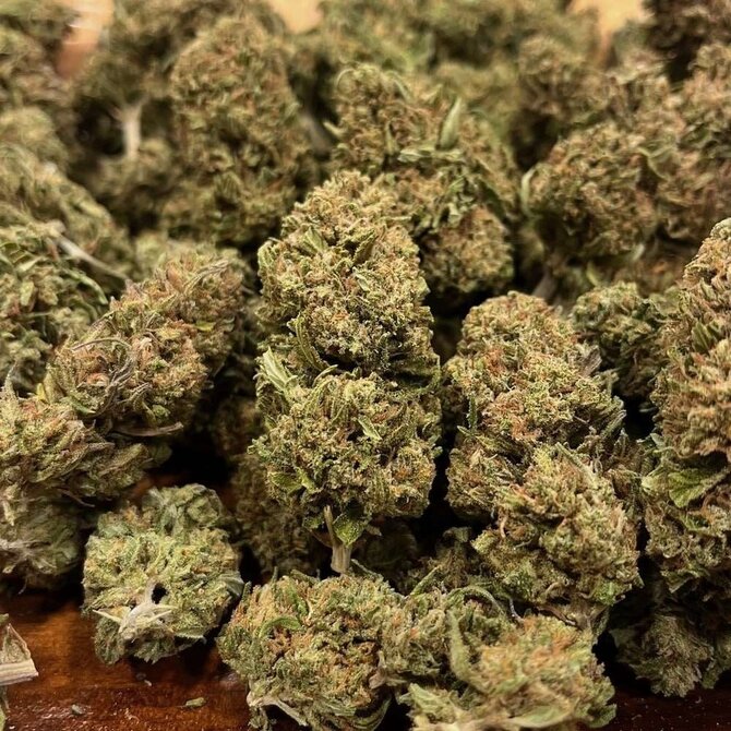 Cannabis CBD Flower: 'Blue Orchid' 7 grams (1/4 oz) (Indica)