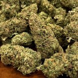 Cannabis CBD Flower: 'Sour Space Candy' 7 grams (1/4 oz) (Sativa)