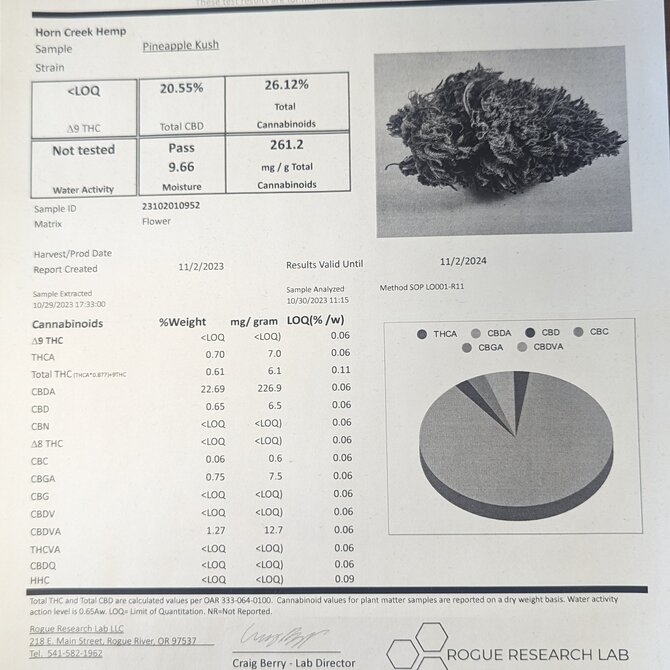 Cannabis CBD Flower: 'Pineapple Kush' 7 grams (1/4 oz) (Hybrid)