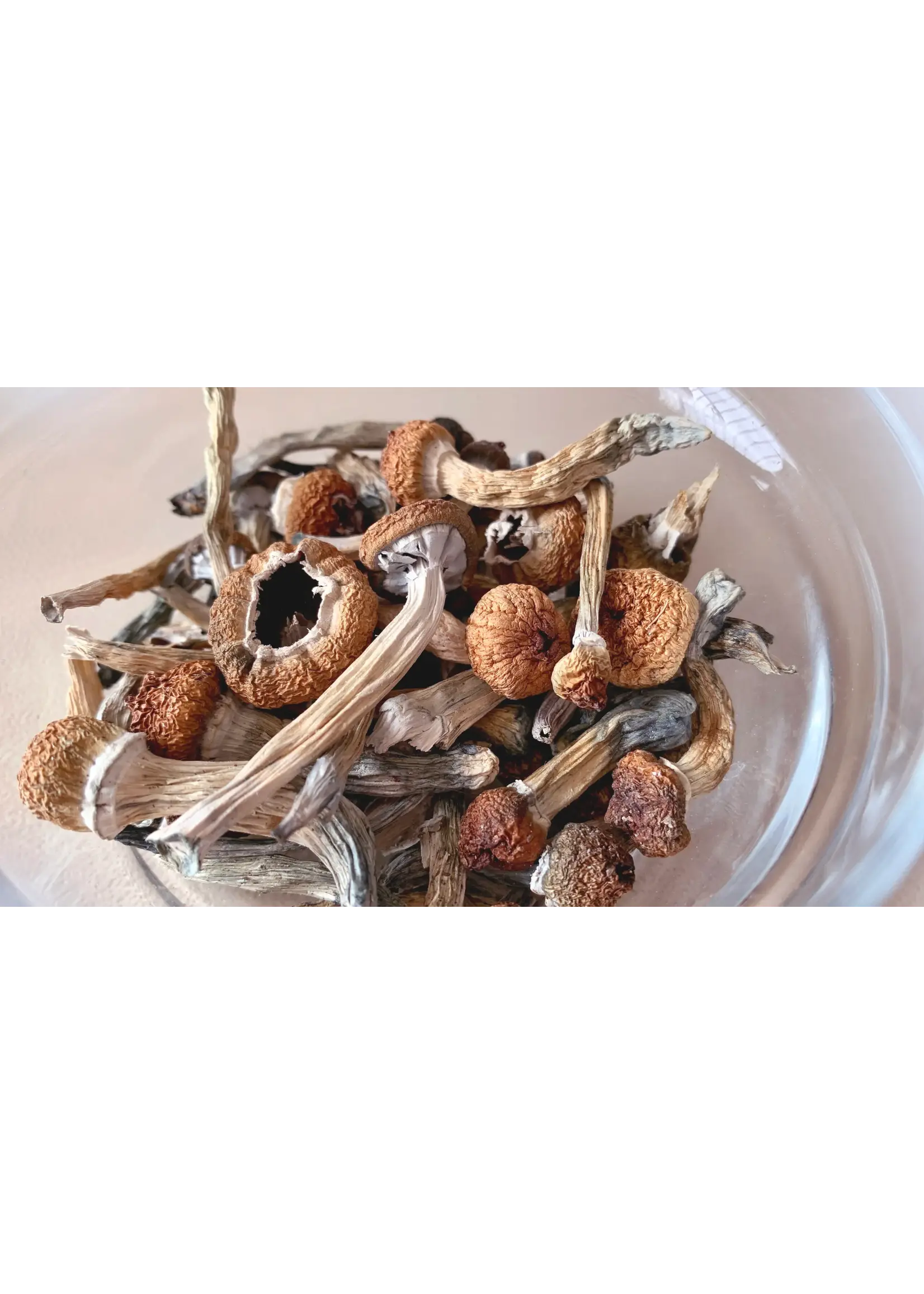 Moderate THC Hemp (MTH) Magic Trip Mushrooms (100% Legal)