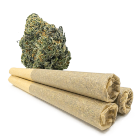 CANNABIS CBD FLOWER JOINTS – Sativa House Blend Pre-Rolls (2-Pack, 1g Each)