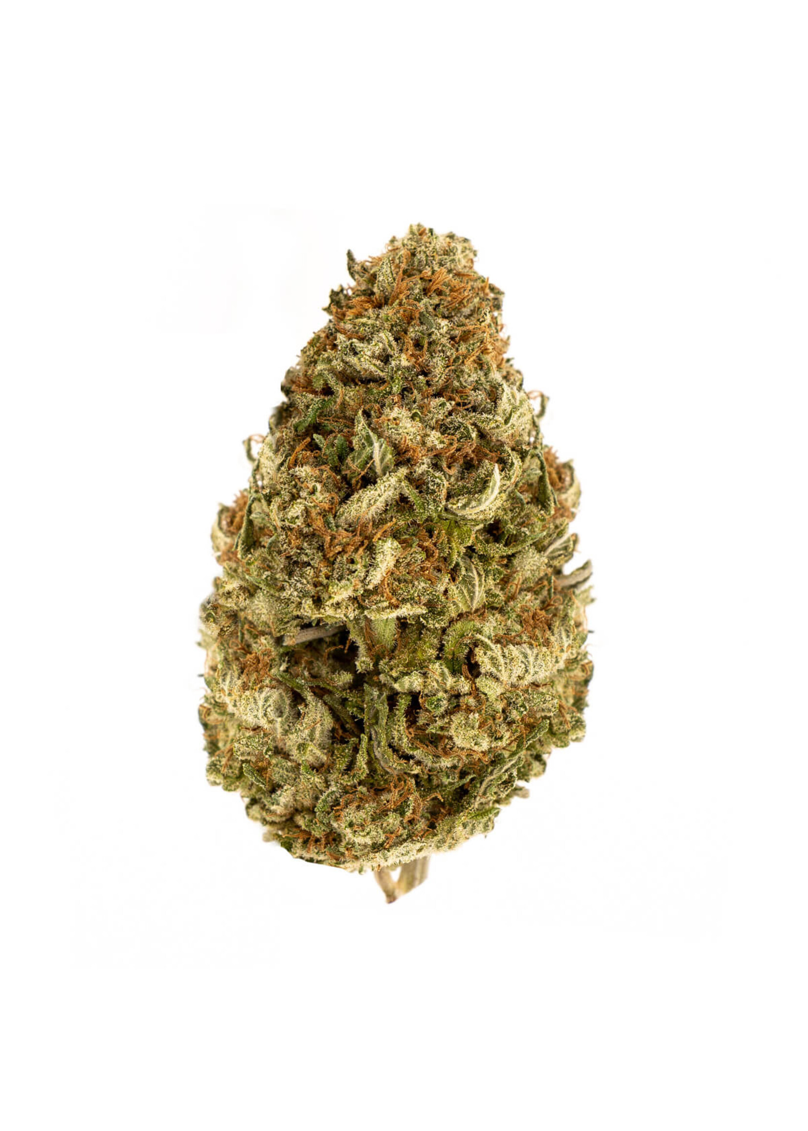 Berry Blossom CBD Flower (Hybrid) – 7 grams Organic Hemp