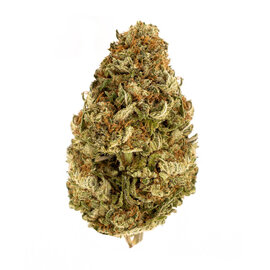 Berry Blossom CBD Flower (Hybrid) – 7g Oregon Organic Hemp