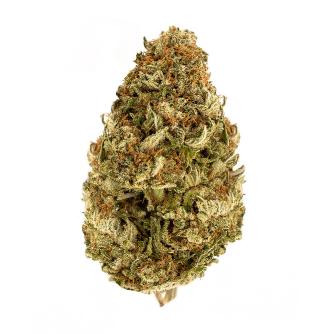 Berry Blossom CBD Flower (Hybrid) – 7 grams Oregon Organic Hemp