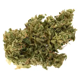 Early Trump CBD Flower (Hybrid) – 7g Oregon Hemp